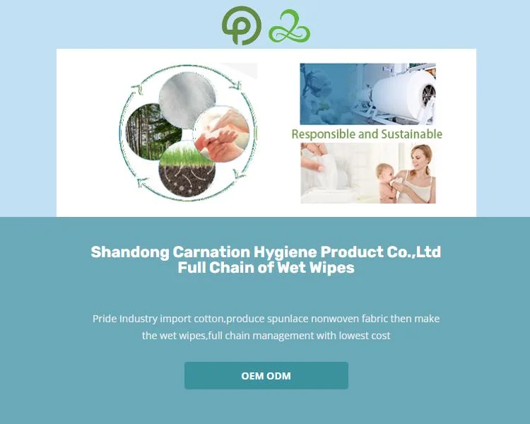 Soft Organic Skin Care Cleaning Baby Wet Wipes